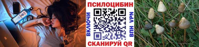 Галлюциногенные грибы Magic Shrooms  ОМГ ОМГ ONION  Красноармейск 