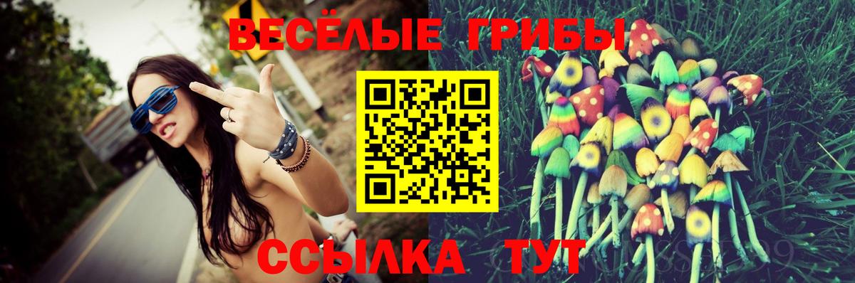 Псилоцибиновые грибы мицелий  Вход с VPN  Красноармейск 